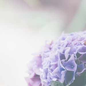 療養の仕方～step3～